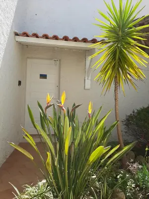 a door to a house with a palm tree in front of it at Piccula Casa in Albitreccia