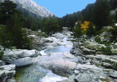 a river with rocks and trees on a mountain at Les bougainvilliers in Penta-di-Casinca