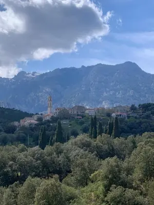 a view of a town with mountains in the background at A Furtezza in Soveria