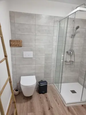 a bathroom with a shower and a toilet at Fiori di flore in Lecci