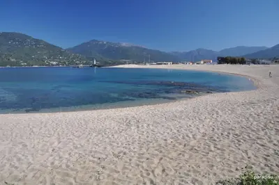 a sandy beach with blue water and mountains in the background at T2 d'exception 100m plage terrasse vue mer et montagnes in Propriano
