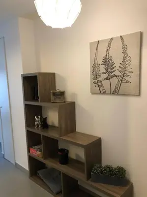 a book shelf in a room with some plants at T2 récent climatisé à 100m du port in Propriano