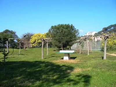 a park with a bench in the middle of a field at Maison Les couchants Porticcio in Porticcio