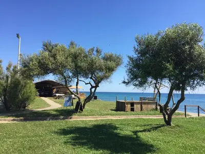 a park with trees and the ocean in the background at VILLA Bord de Mer in Cervione