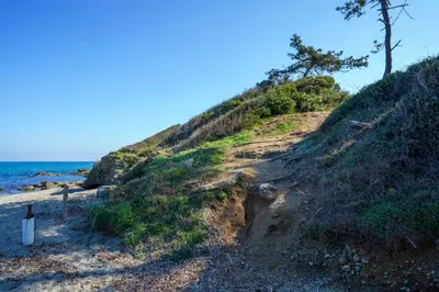 a sandy hill with trees on it next to the ocean at La Caletta Corsa Apartments - 2 Camere con Terrazza Privata, Aria Condizionata, 100m dal Mare in Linguizzetta