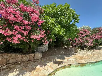 a garden with pink flowers and a swimming pool at Luxueuse Villa, Hyper centre PORT de PORTO VECCHIO in Porto-Vecchio
