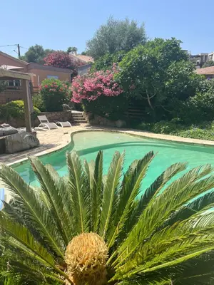 a palm tree in front of a swimming pool at Luxueuse Villa, Hyper centre PORT de PORTO VECCHIO in Porto-Vecchio