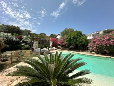 a swimming pool with a palm tree in a yard at Luxueuse Villa, Hyper centre PORT de PORTO VECCHIO in Porto-Vecchio