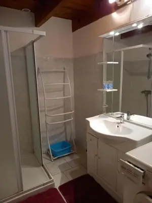 a bathroom with a sink and a shower with a ladder at CASA DI PETRU ANTÒ in Serra-di-Ferro