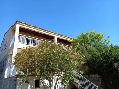 a building with a tree in front of it at CASA DI PETRU ANTÒ in Serra-di-Ferro