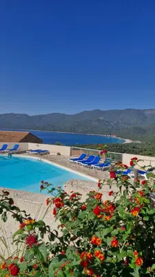 a swimming pool with blue lounge chairs and flowers at mini villa 72, résidence avec piscine. in Serra-di-Ferro