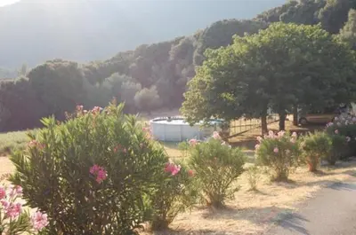 a group of bushes and trees with a building in the background at Gites Chalets de Grosseto-Prugna in Grosseto-Prugna