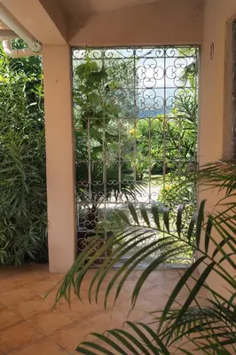 a view of a garden through a glass door at Villa tout confort avec piscine privée in Ventiseri