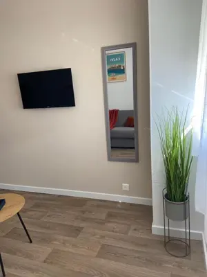 a living room with a tv and a mirror at Résidence City Suites Ajaccio in Ajaccio