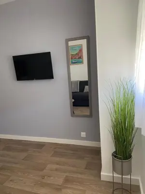 a living room with a television and a potted plant at Résidence City Suites Ajaccio in Ajaccio