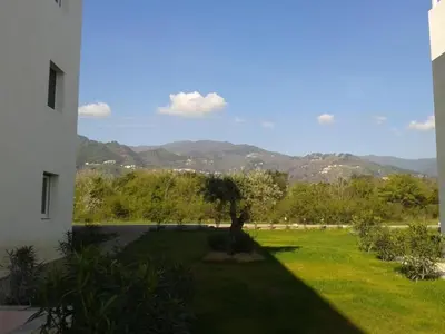 a yard with a tree and mountains in the background at Location F2 classée 3 étoiles pour des vacances de rêve in San-Nicolao