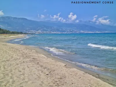 a beach with the ocean and a city in the background at Mini Villa Indépendante à 350m de la mer (LAX) in Lucciana