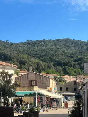 a view of a town with a mountain in the background at A COLETTA in Piana