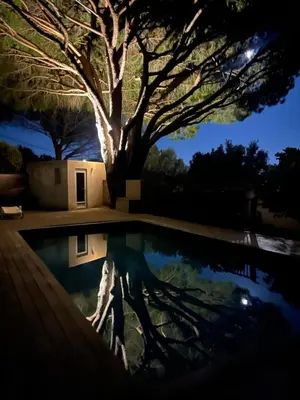 a reflection of a tree in a pool at night at Villa 4 personnes U Pinu, piscine partagée, 6 kms de porto vecchio in Porto-Vecchio