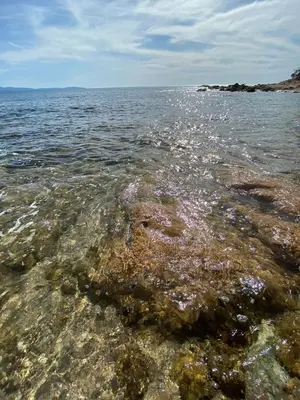 a large body of water with rocks in the water at Super Studio centre ville d'Ajaccio in Ajaccio