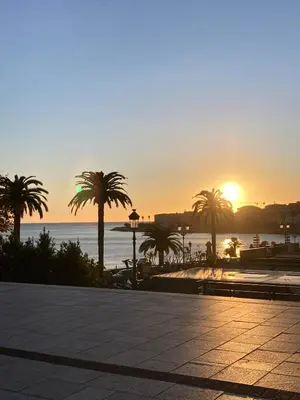 a sunset over the water with palm trees and the ocean at Super Studio centre ville d'Ajaccio in Ajaccio