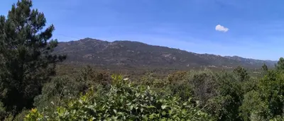 a mountain in the distance with trees in the foreground at Villa Maremuntagna Porto Vecchio in Porto-Vecchio