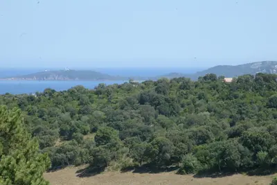 an aerial view of a lake and trees at Villa Maremuntagna Porto Vecchio in Porto-Vecchio
