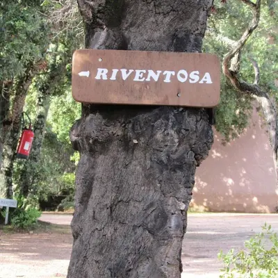 a sign on the side of a tree at MiniVilla 