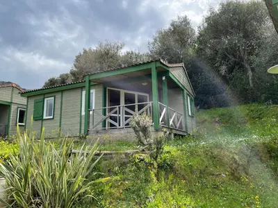 a green house with a porch on a hill at La vallée in Belvédère