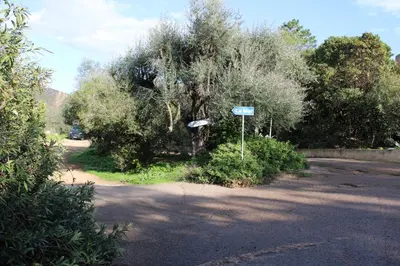 a street sign in front of a tree at Altura in Zonza