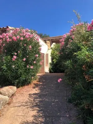 a garden with pink flowers and a walk way at Altura in Zonza